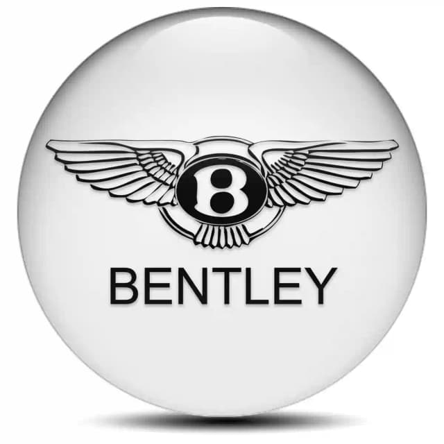 Bentley Domed Emblem Stylish Design