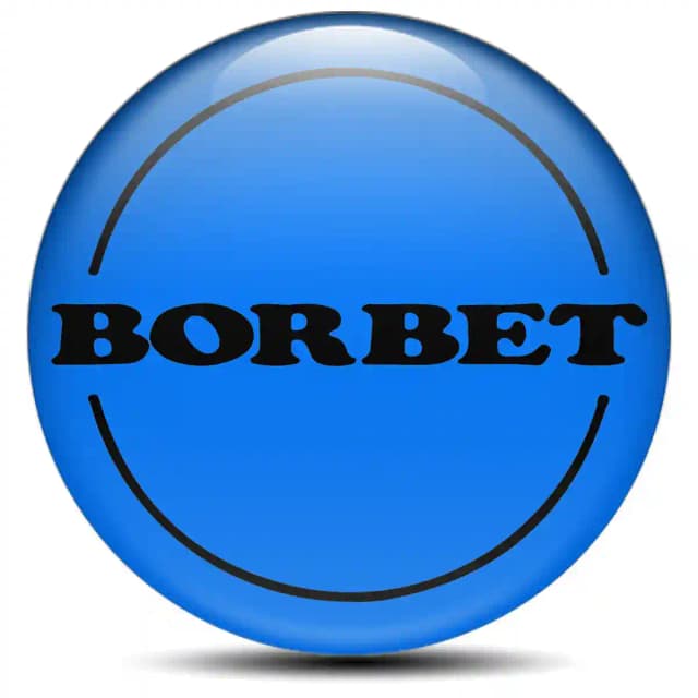 Borbet Emblem Badge High Quality