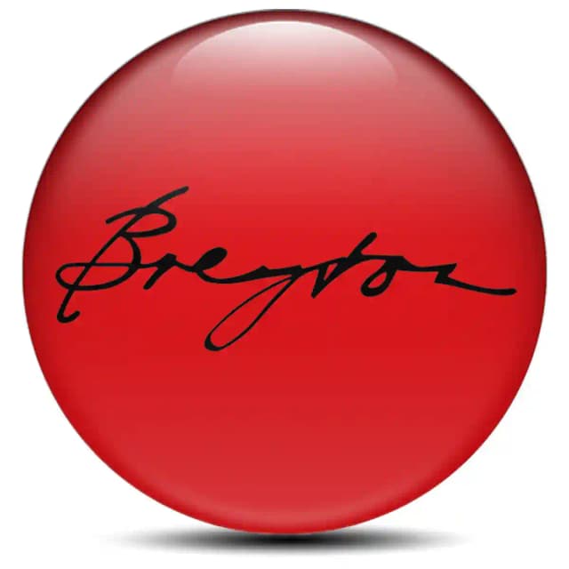 Breyton Domed Emblem Self-Adhesive Stylish Design
