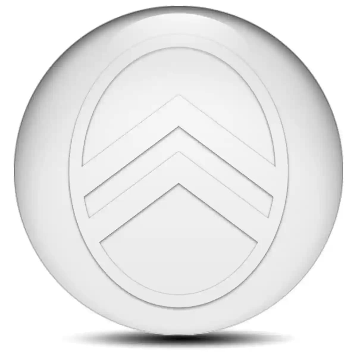 Citroen Emblem Center Hup Cap High Quality