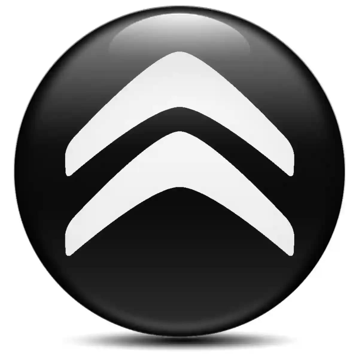 Citroen Epoxy Sticker Stylish Design