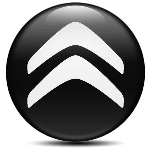 Citroen Epoxy Sticker Stylish Design