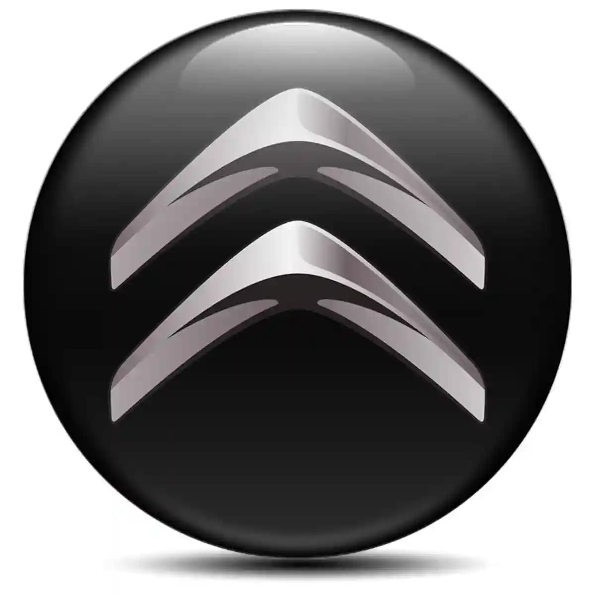 Citroen Sticker Epoxy 3D Gel High Quality