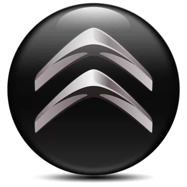 Citroen Sticker Epoxy 3D Gel High Quality