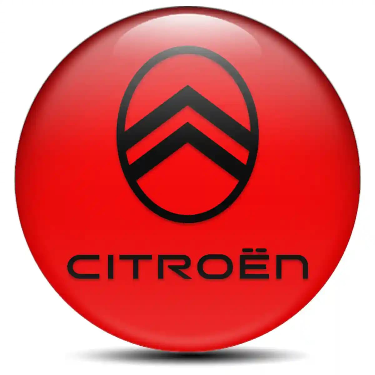 Citroen Sticker Epoxy 3D Gel Stylish Design