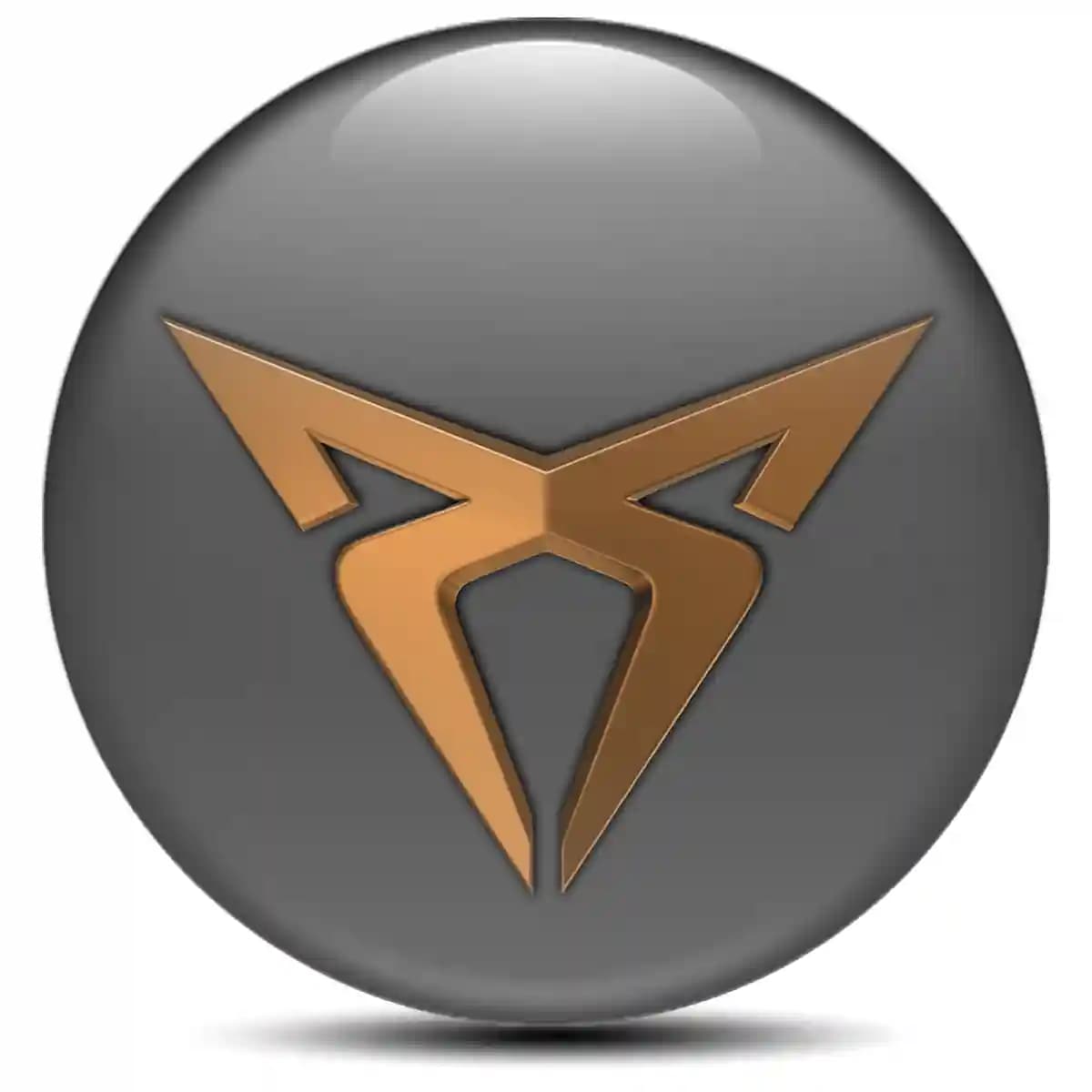 Cupra Badge Emblems Center Cap Stylish Design