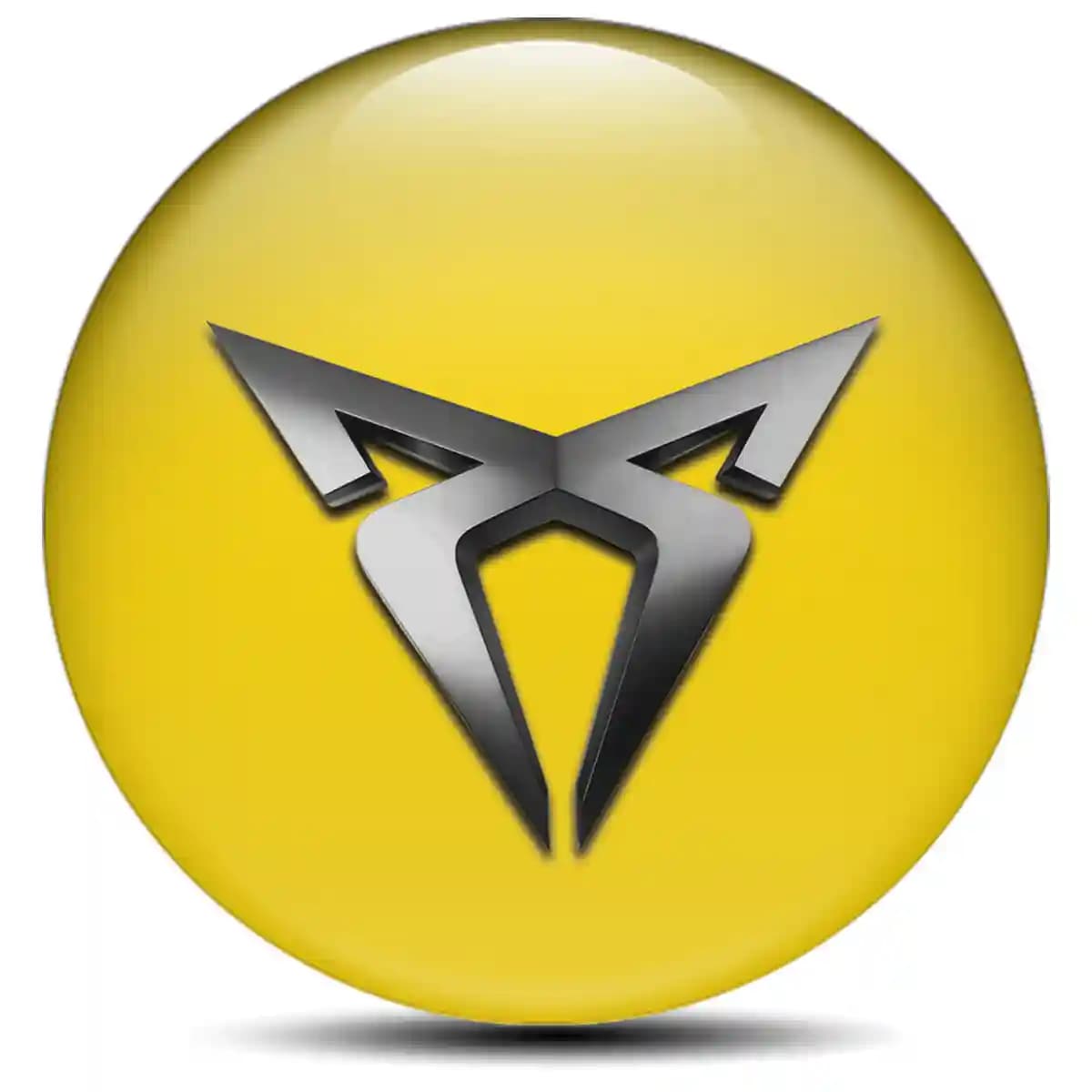 Cupra Emblem Epoxy Self-Adhesive Stylish Design