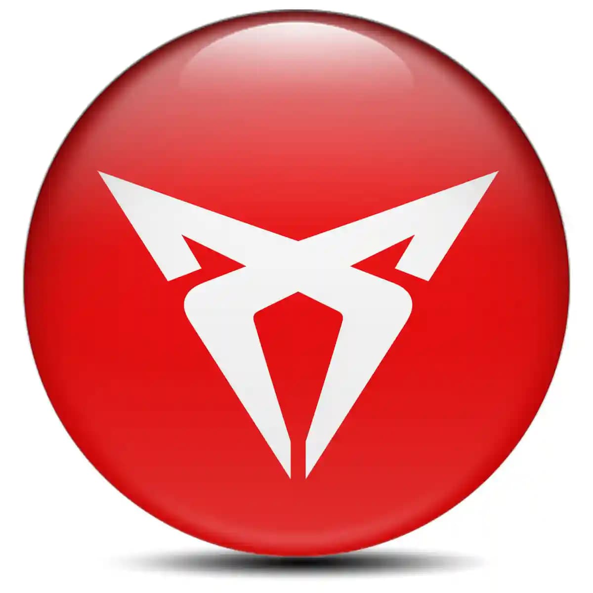 Cupra Epoxy Sticker Premium Edition