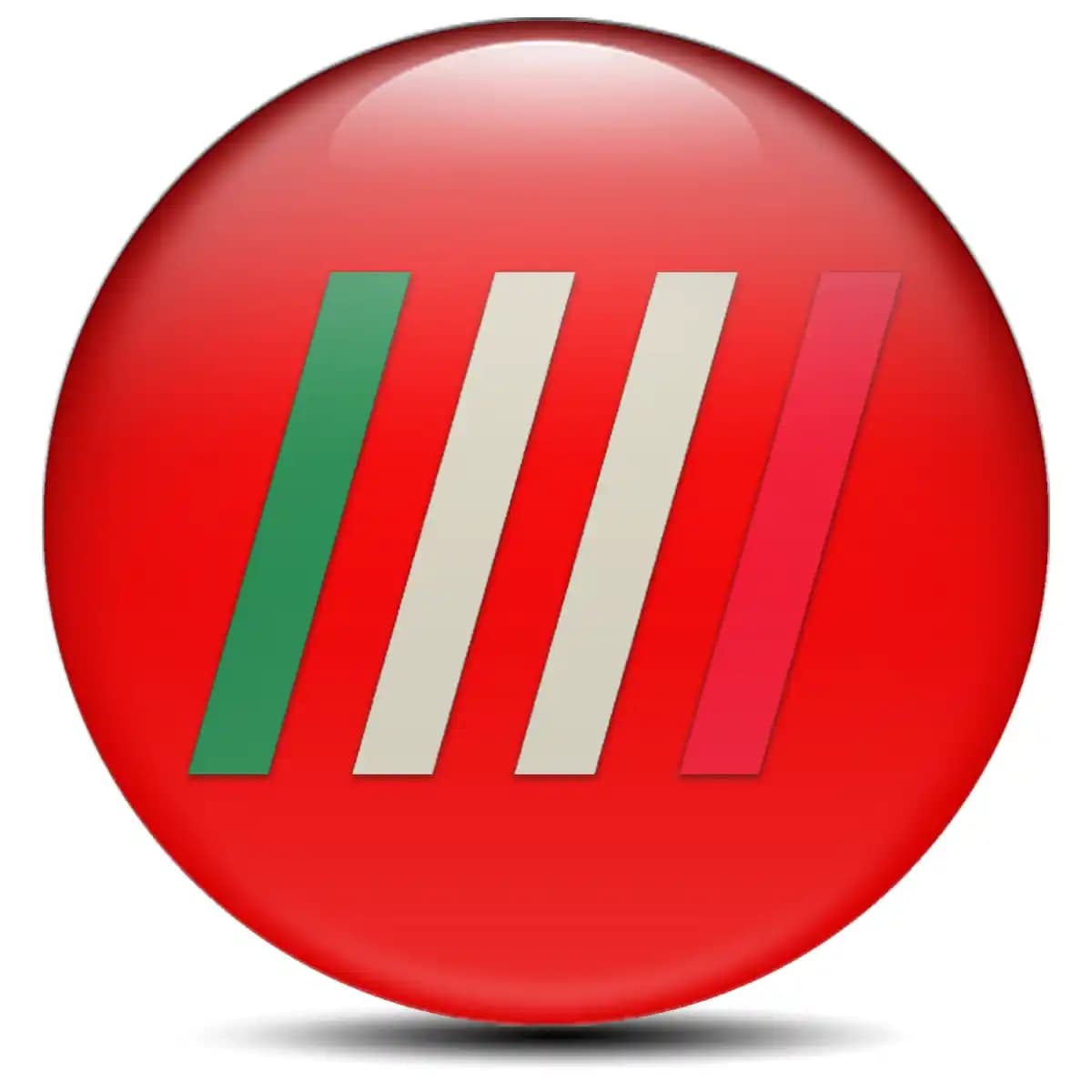 Fiat Emblem Badge Premium Quality