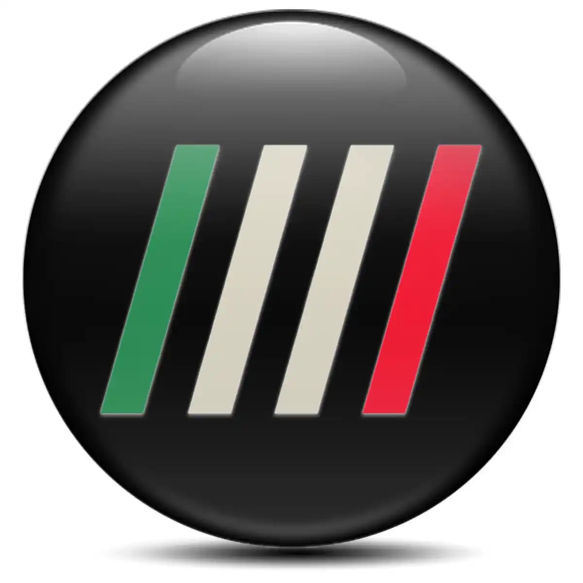 Fiat Emblem Wheel Center Caps Premium Resin