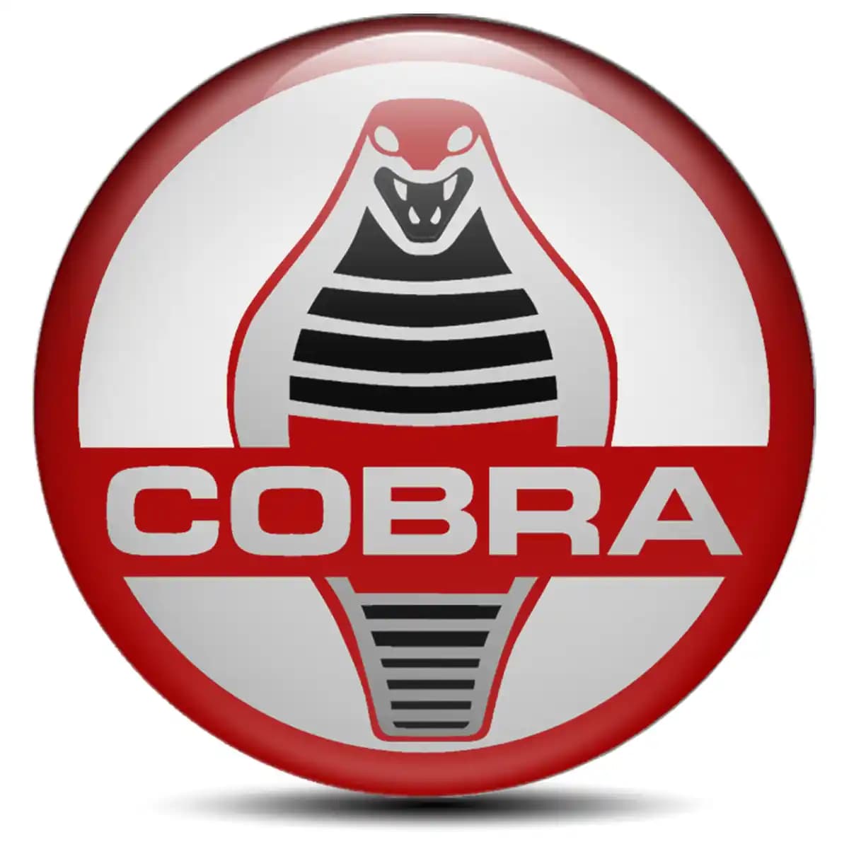 Ford Cobra Sticker Epoxy 3D Gel Stylish Design