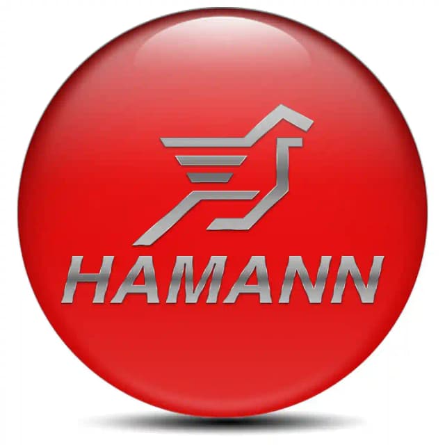 Hamann Domed Sticker Self-Adhesive Stylish Design