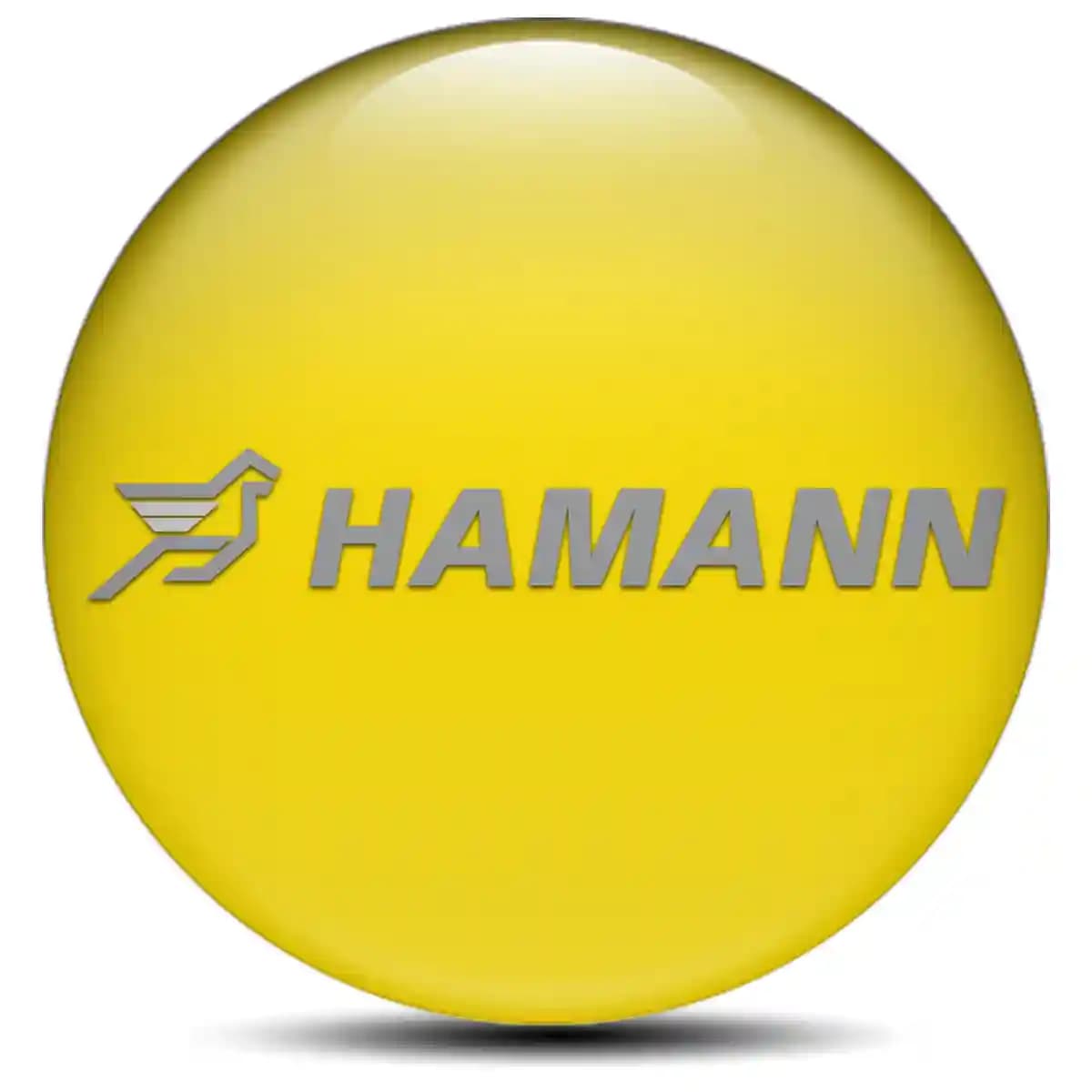 Hamann Emblem Badge Stylish Design