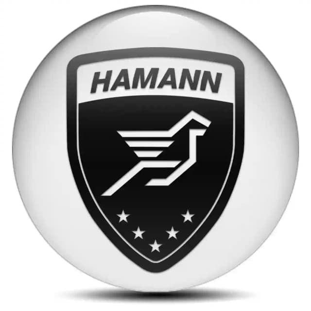 Hamann Epoxy Sticker Stylish Design