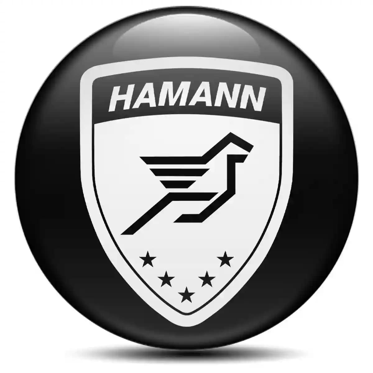 Hamann Logo Emblem Stylish Design