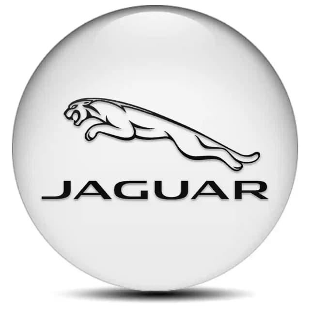 Jaguar Sticker Epoxy 3D Gel Stylish Design
