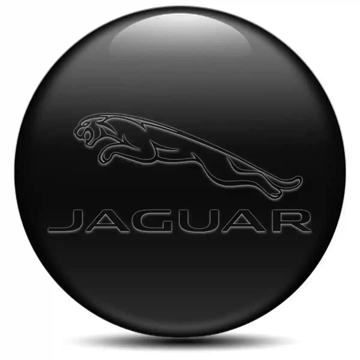 Jaguar Wheel Emblems Stylish Design