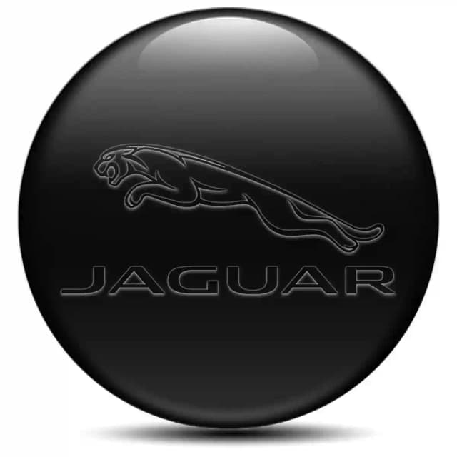Jaguar Wheel Emblems Stylish Design