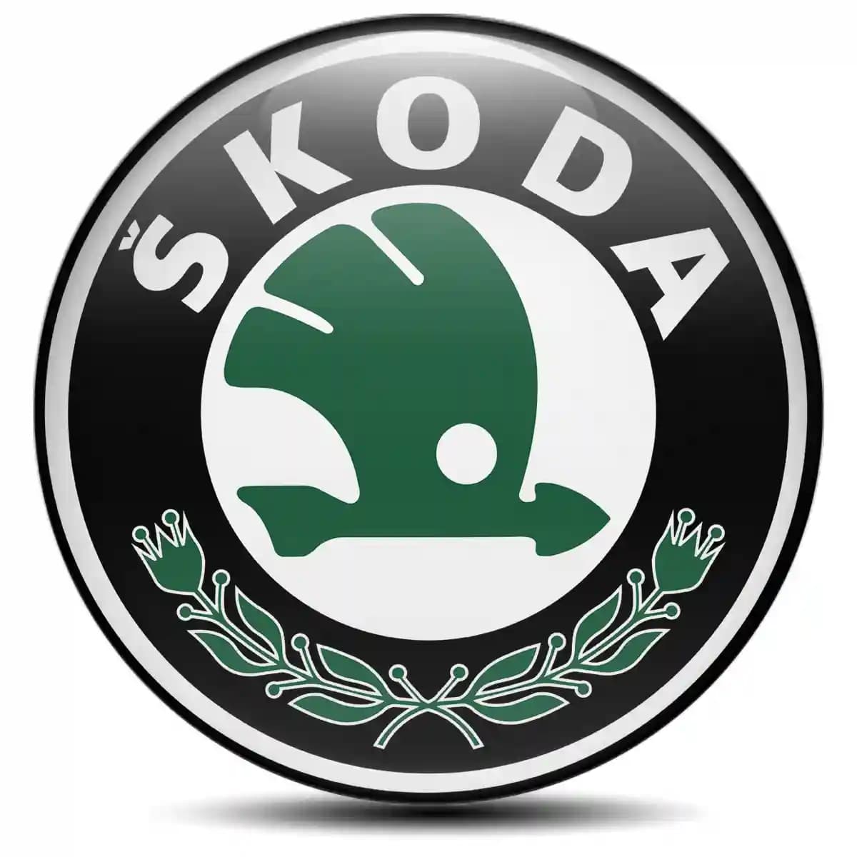 Skoda Epoxy Sticker High Quality