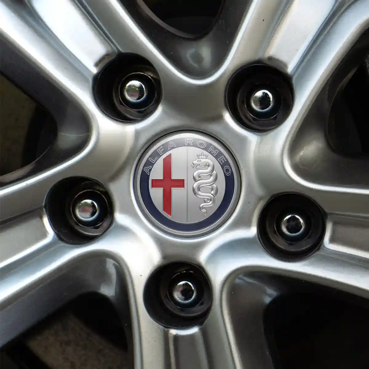 Alfa Romeo Logo Emblem Sleek Style