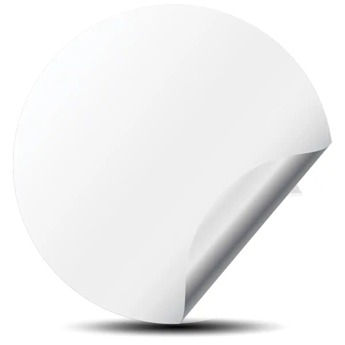 Audi R10 Domed Sticker Stylish Design