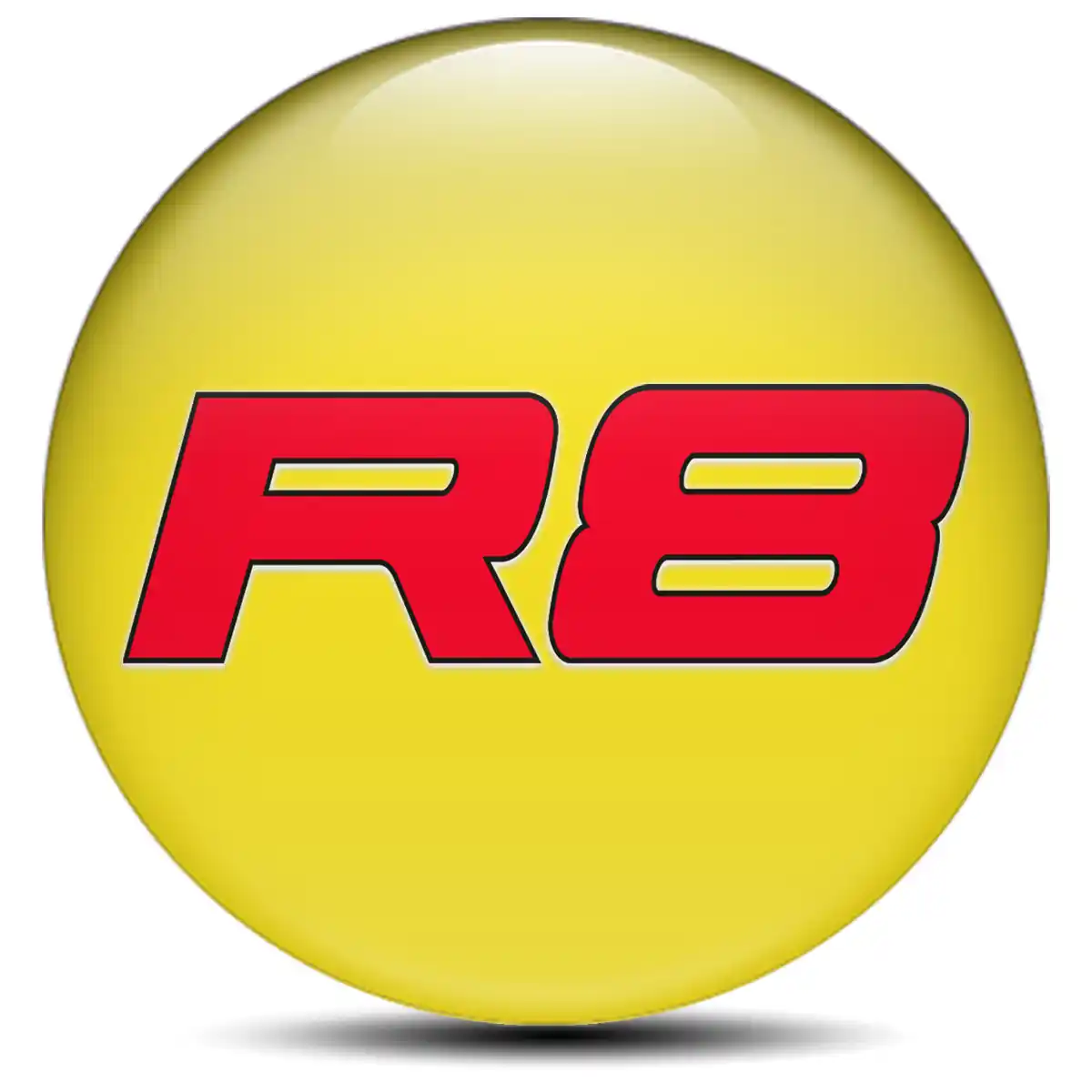 Audi R8 Emblem Badge Stylish Design