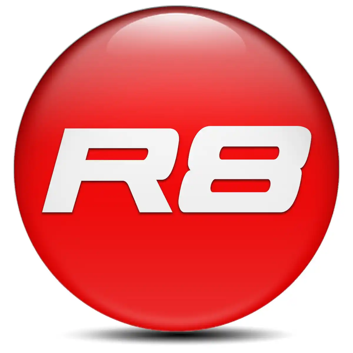 Audi R8 Logo Silicone Emblem Stylish Design