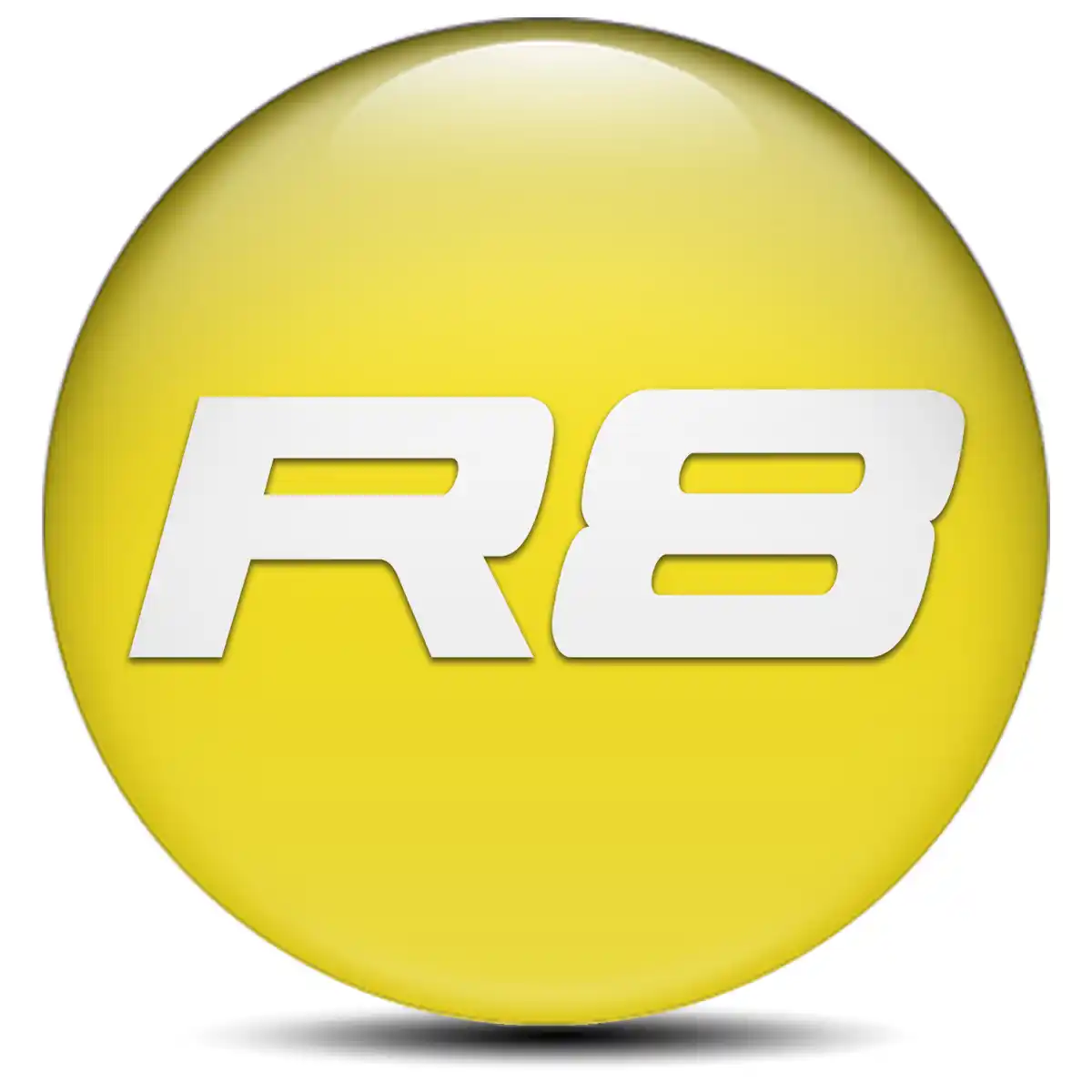 Audi R8 Logo Silicone Sticker Stylish Design