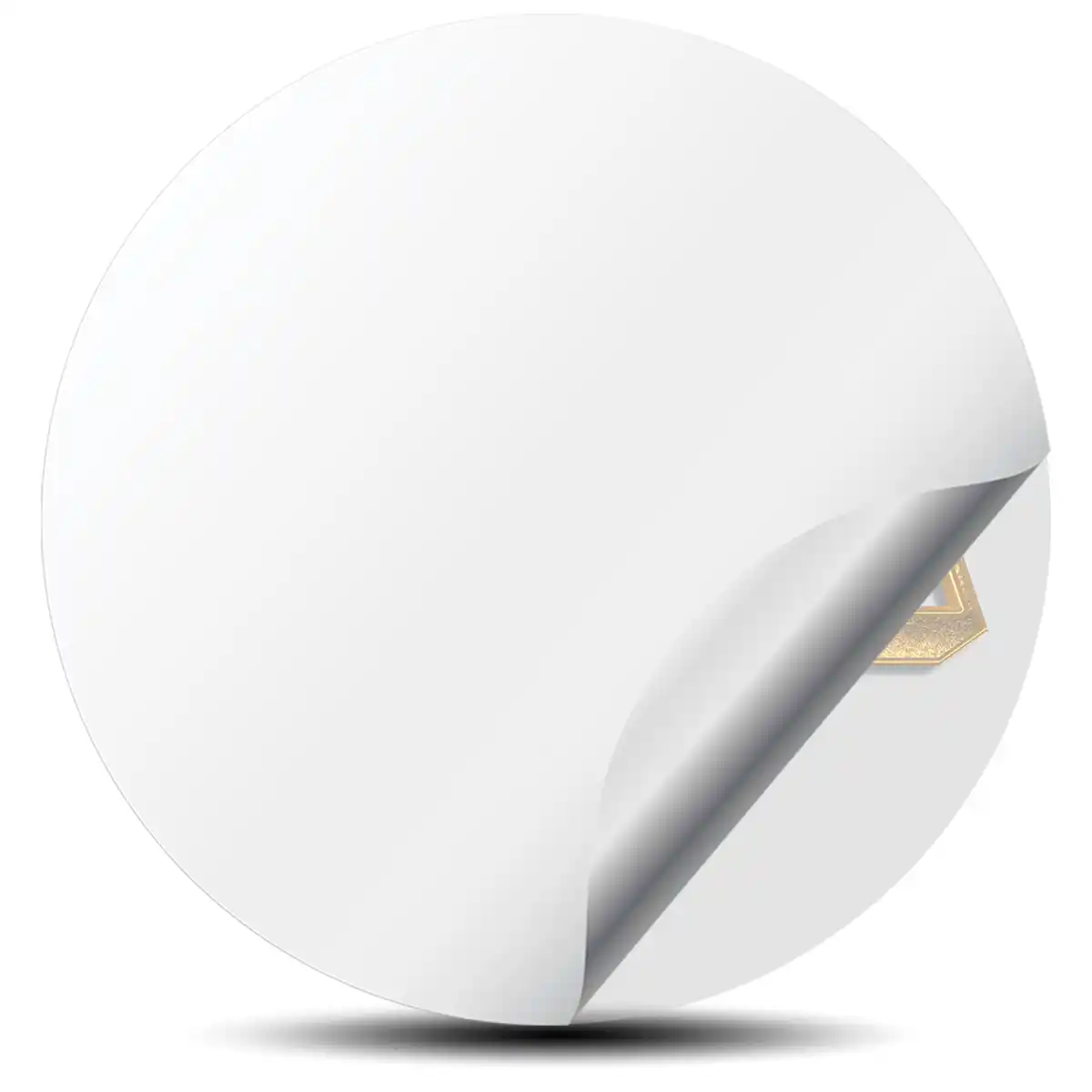 BBS Domed Emblem Premium Edition