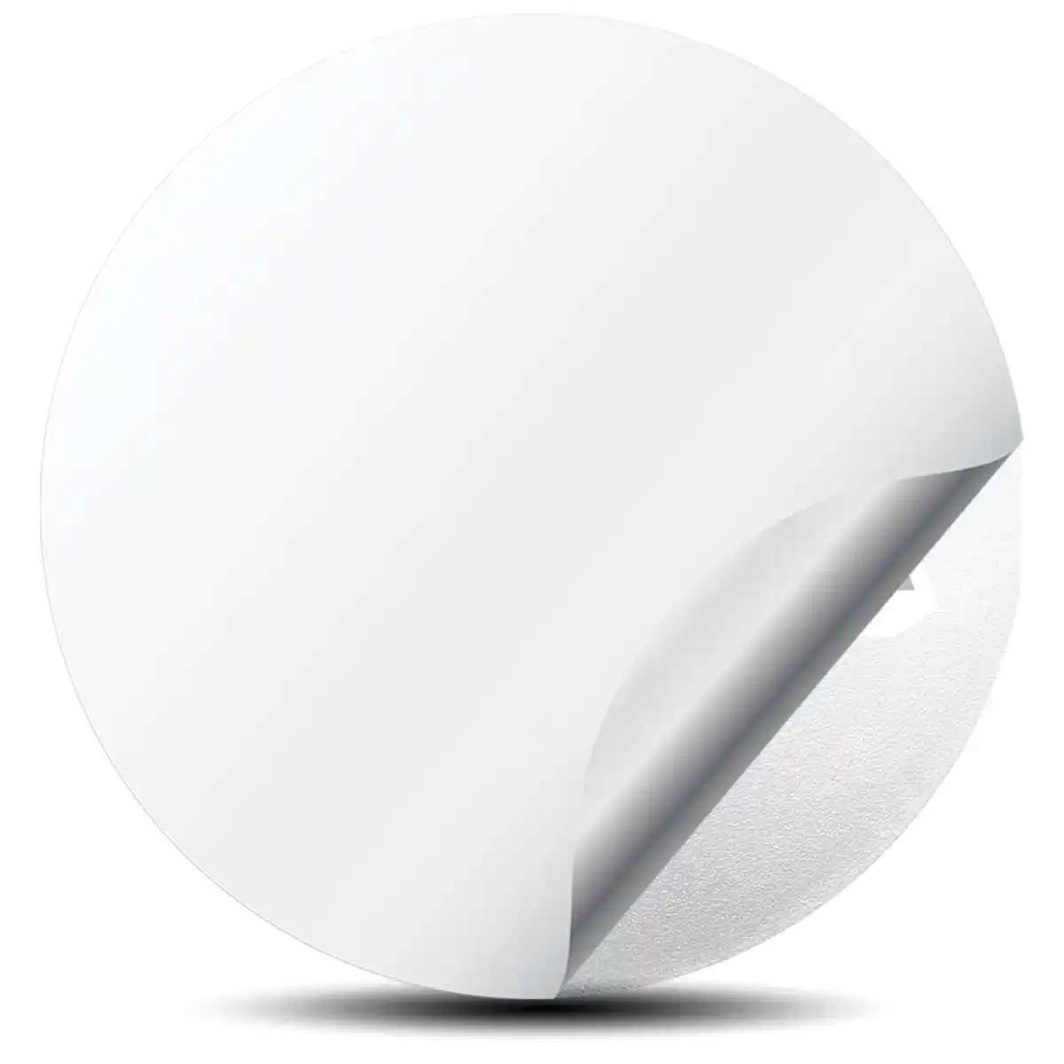 BBS Domed Emblem Self-Adhesive Limited Edition