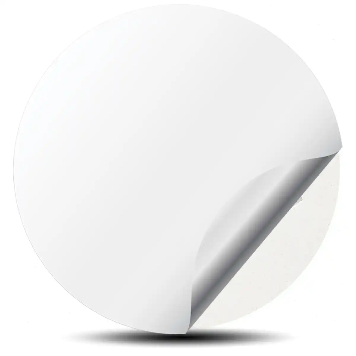BBS Domed Emblem Tuning Car