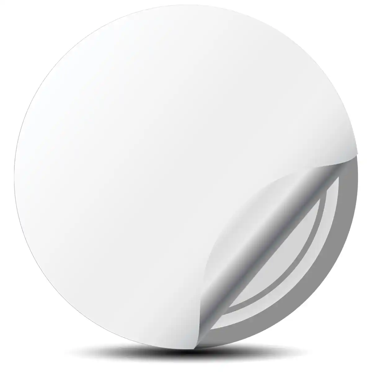 BBS Domed Sticker Exterior Design
