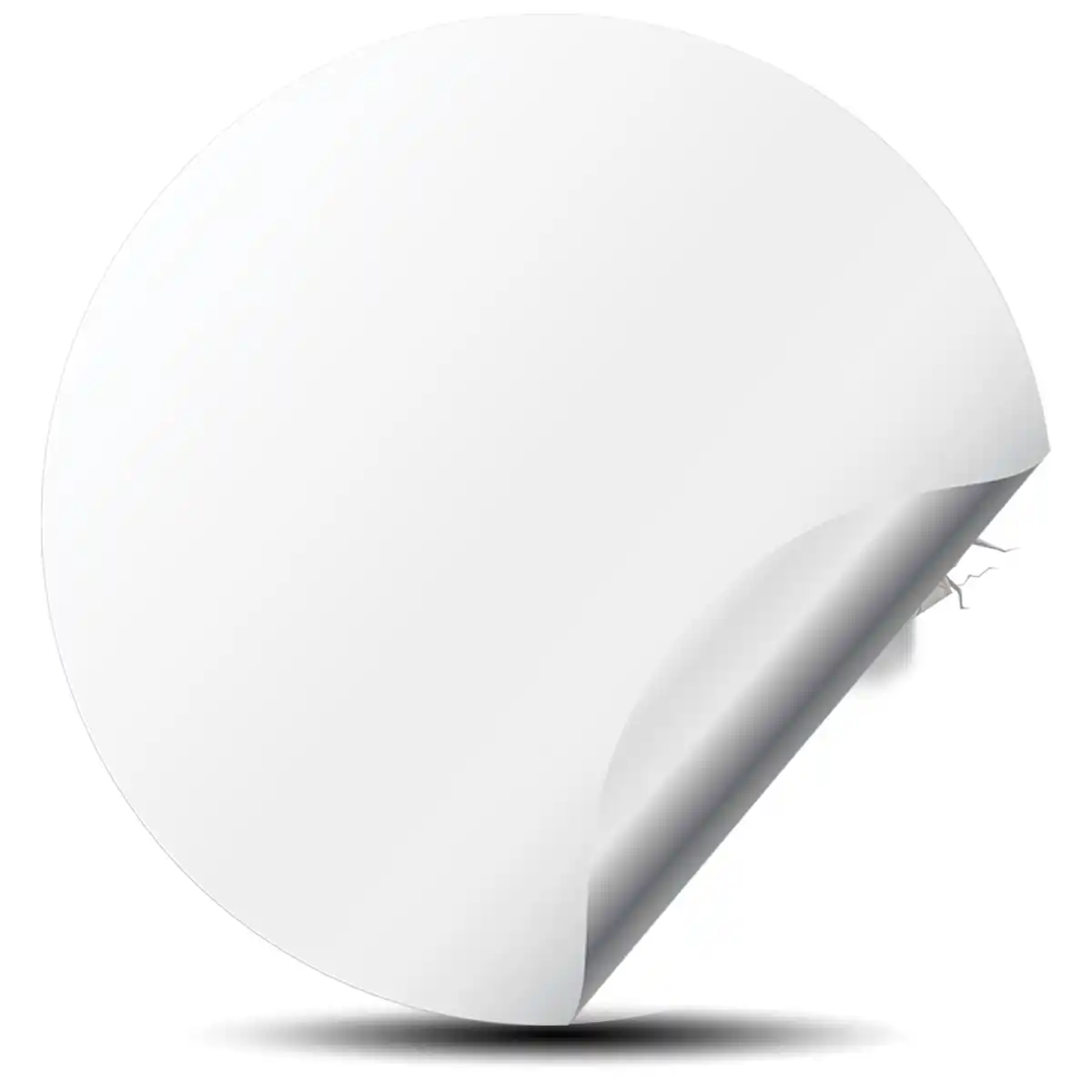 BBS Domed Sticker Self-Adhesive Limited Edition