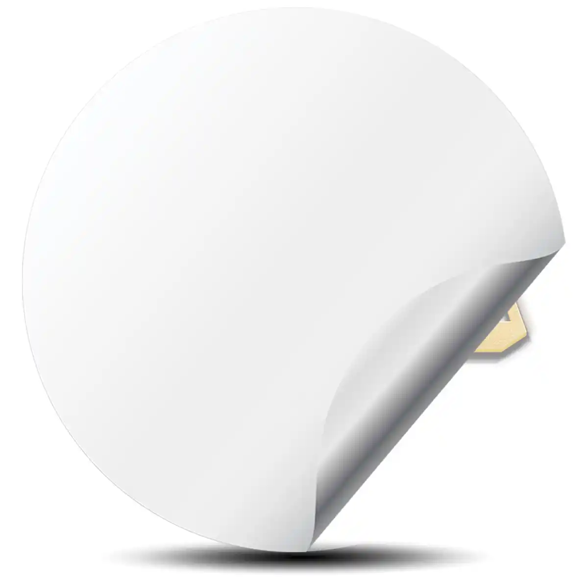 BBS Emblem Center Hup Cap Premium Resin