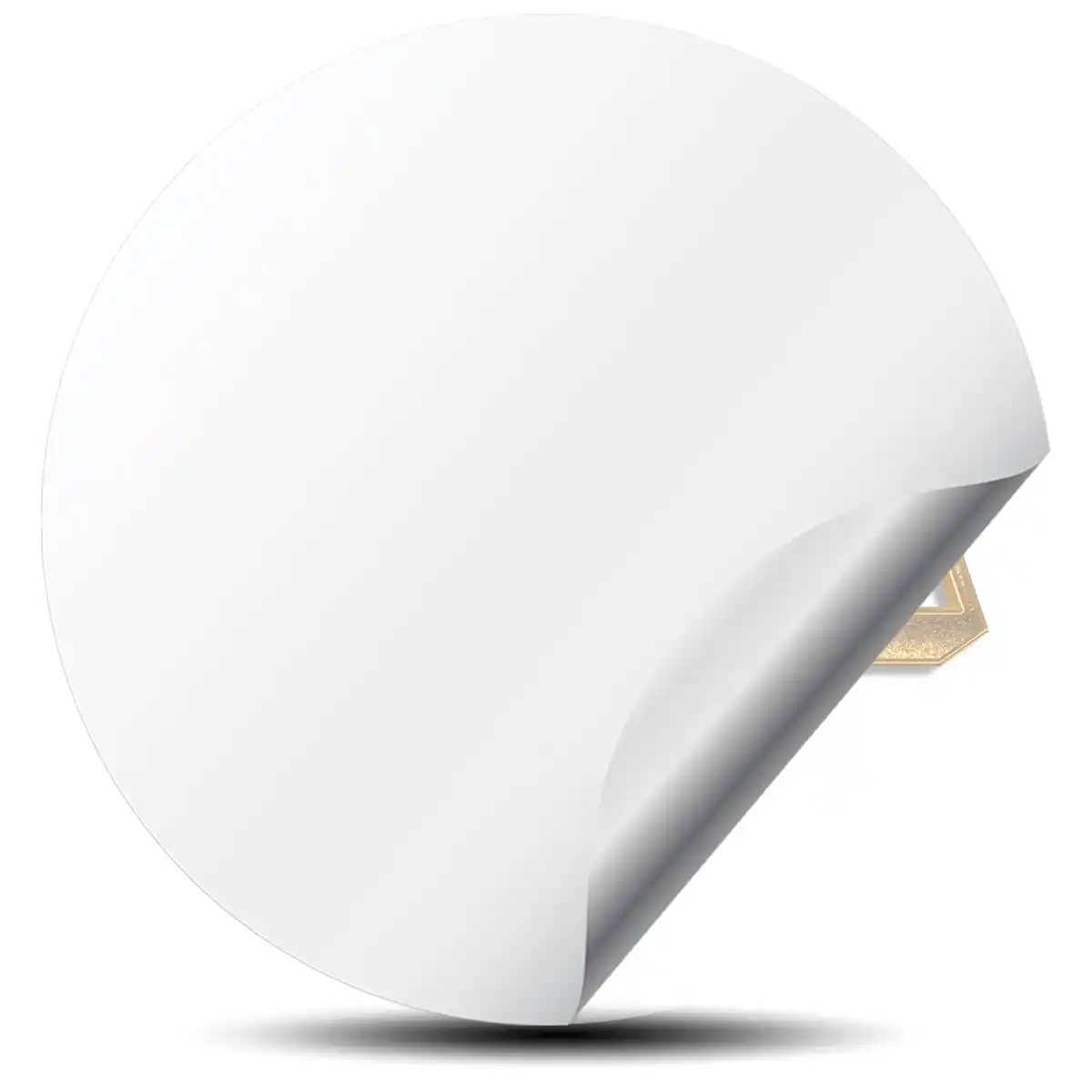BBS Emblem Epoxy Self-Adhesive Luxury Edition