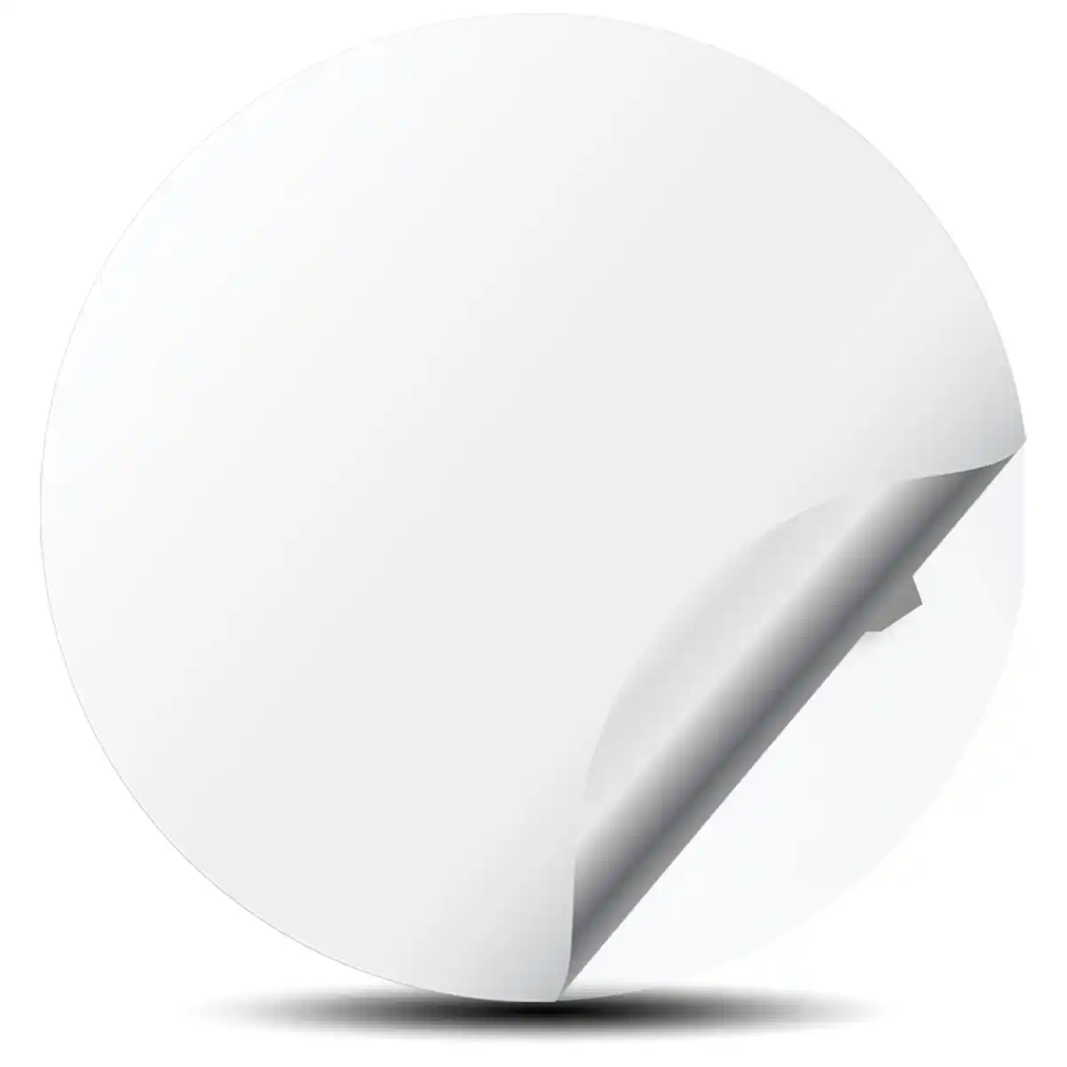 BBS Emblem Wheel Center Caps Exterior Design
