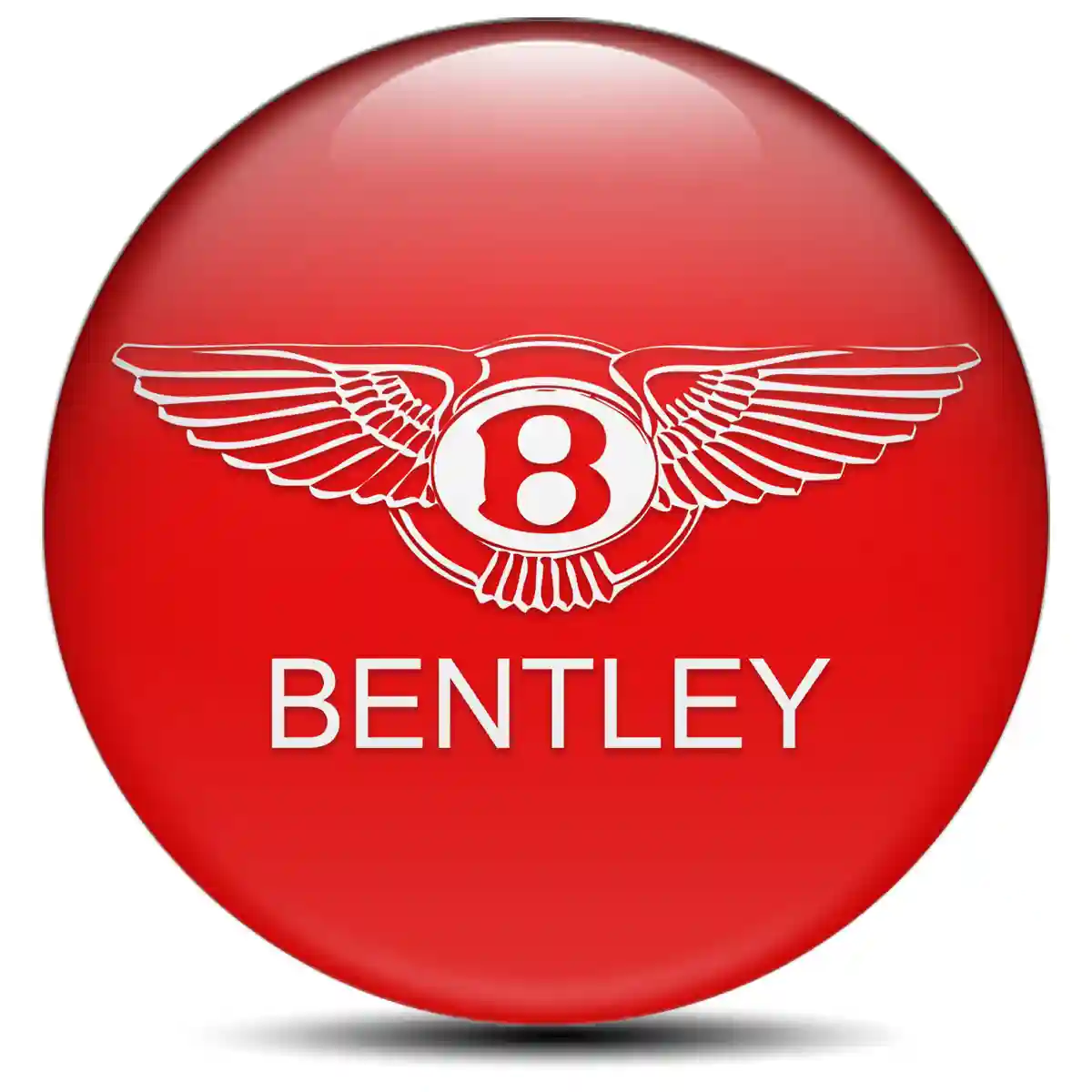 Bentley Silicone Emblem Self-Adhesive Stylish Design