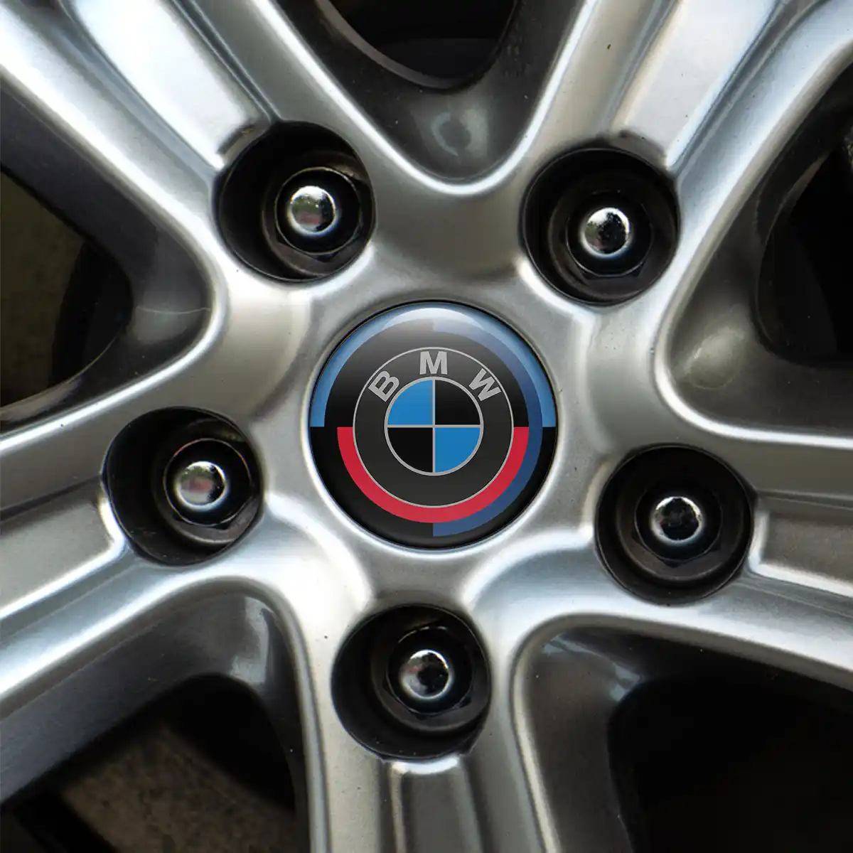 BMW Domed Emblem High Quality