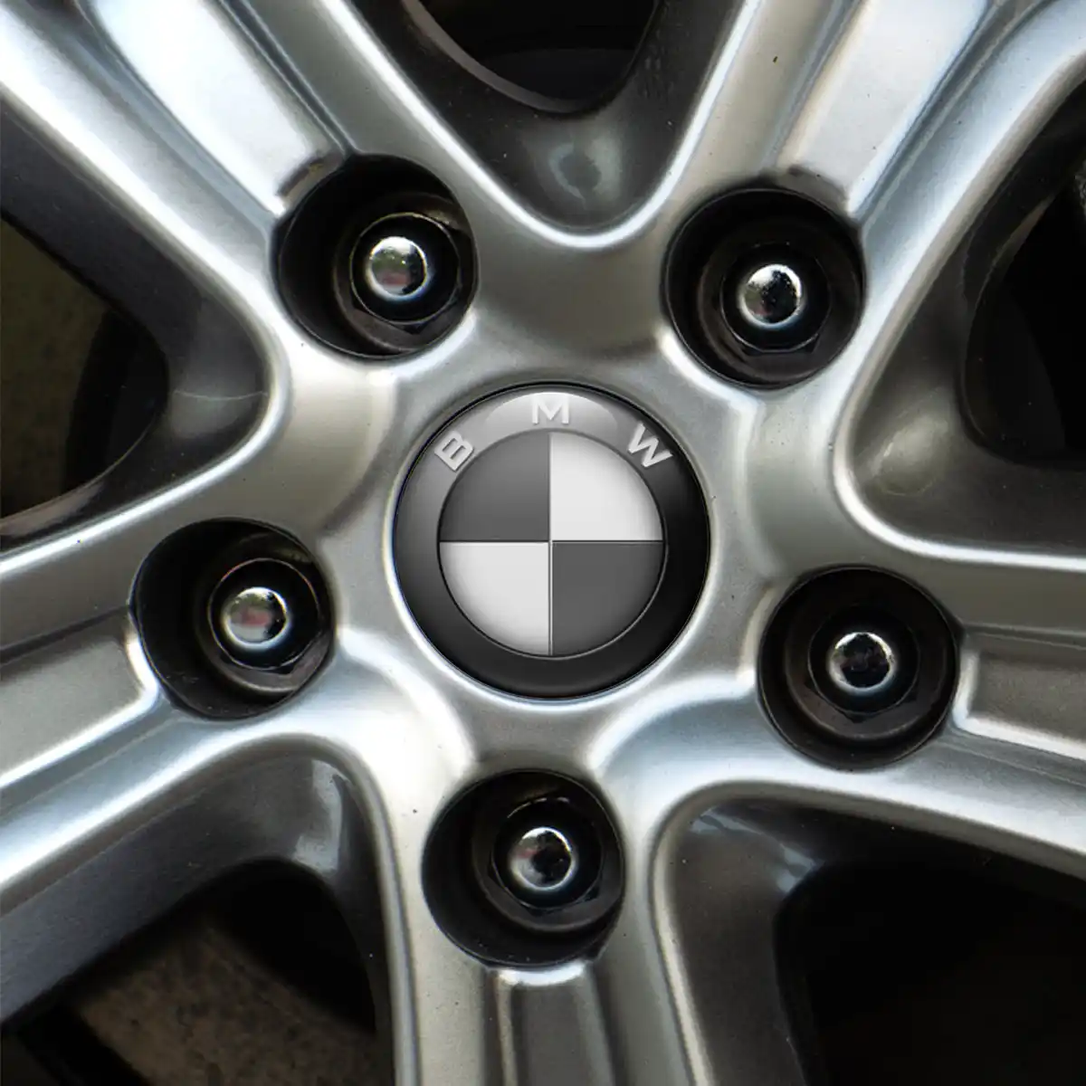 BMW Domed Emblem Self-Adhesive Premium Edition