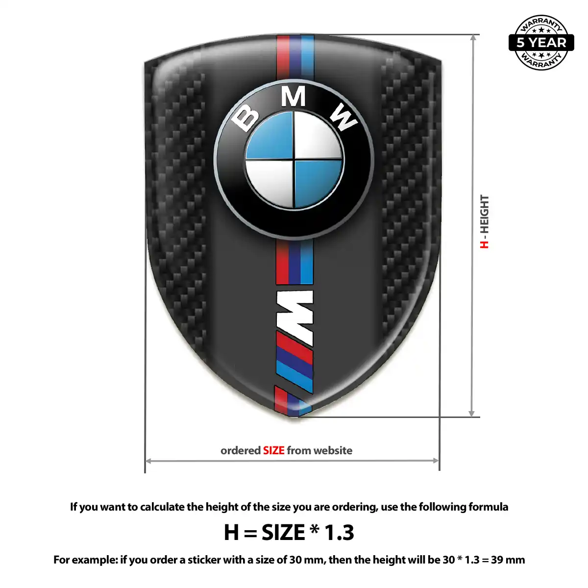 BMW Emblem Logo Sleek Style
