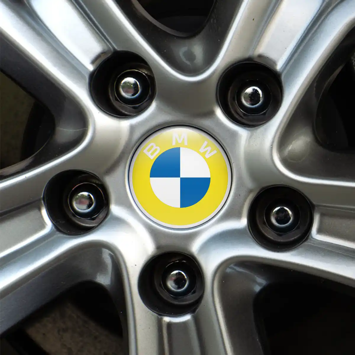 BMW Logo Emblem High Quality