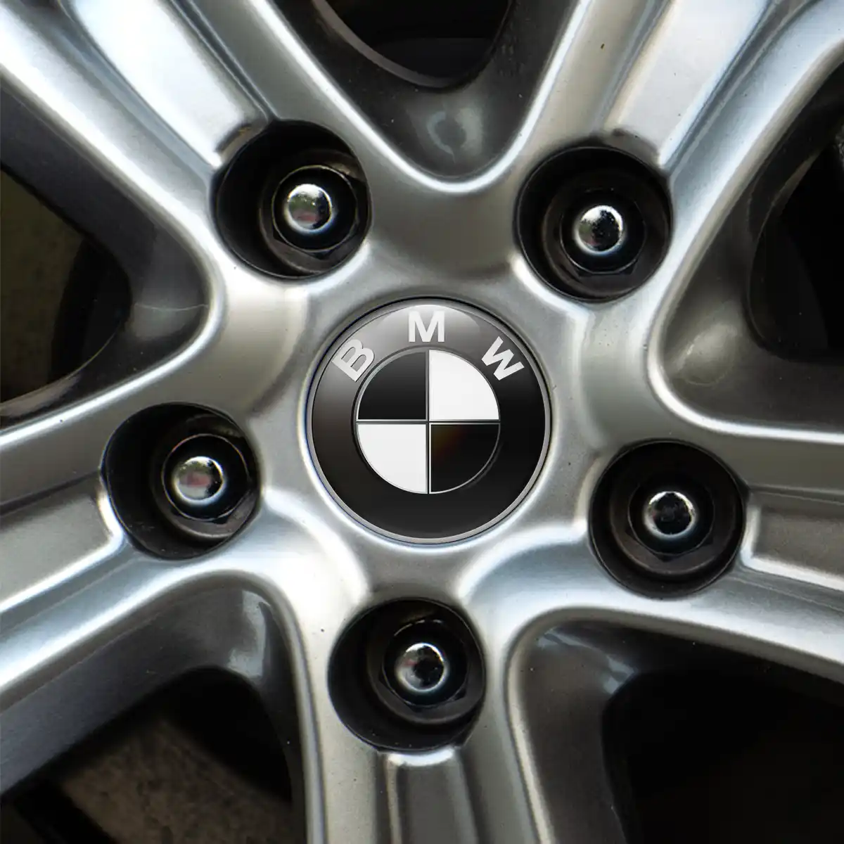 BMW Logo Emblem Premium Edition