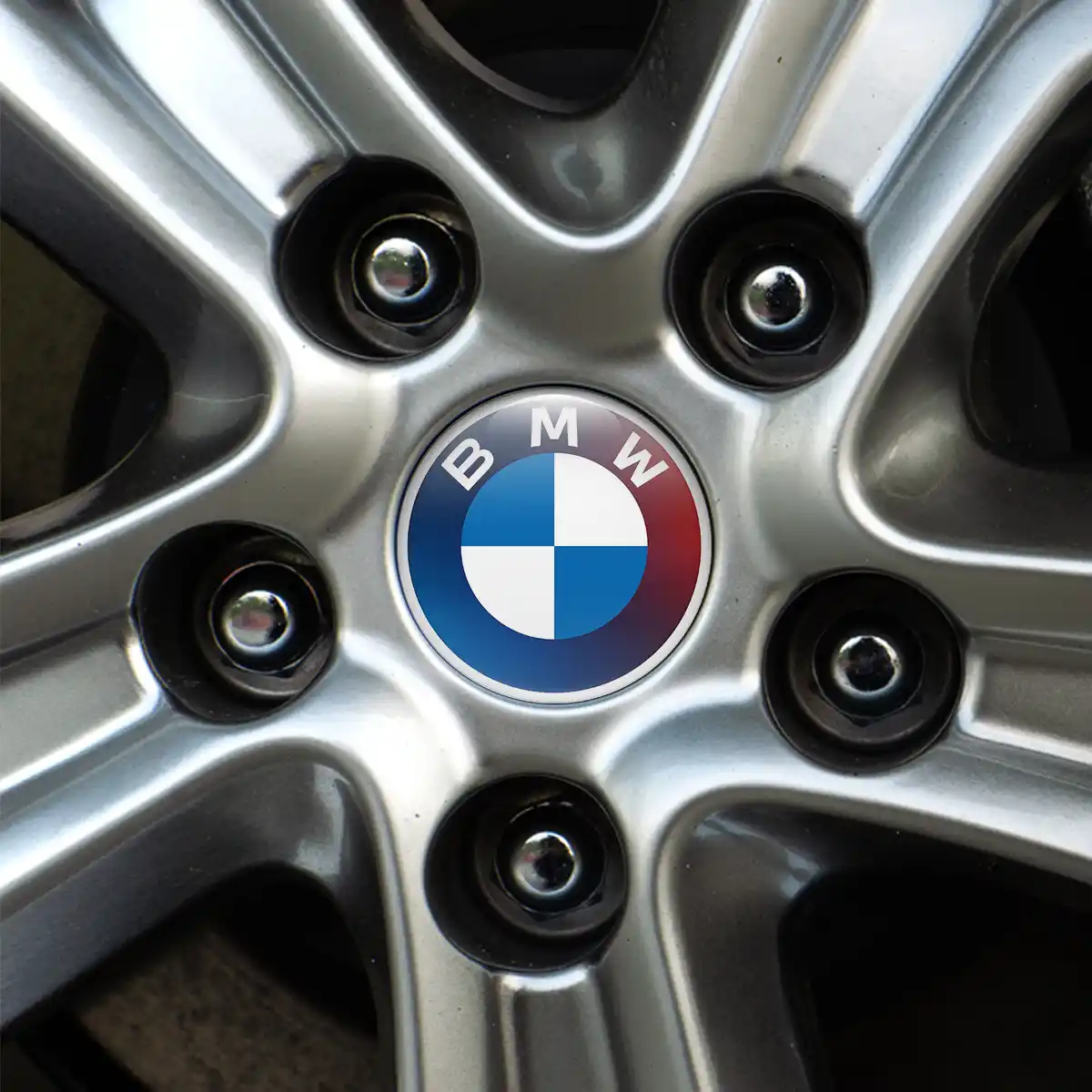 BMW Logo Emblem Self-Adhesive Premium Edition