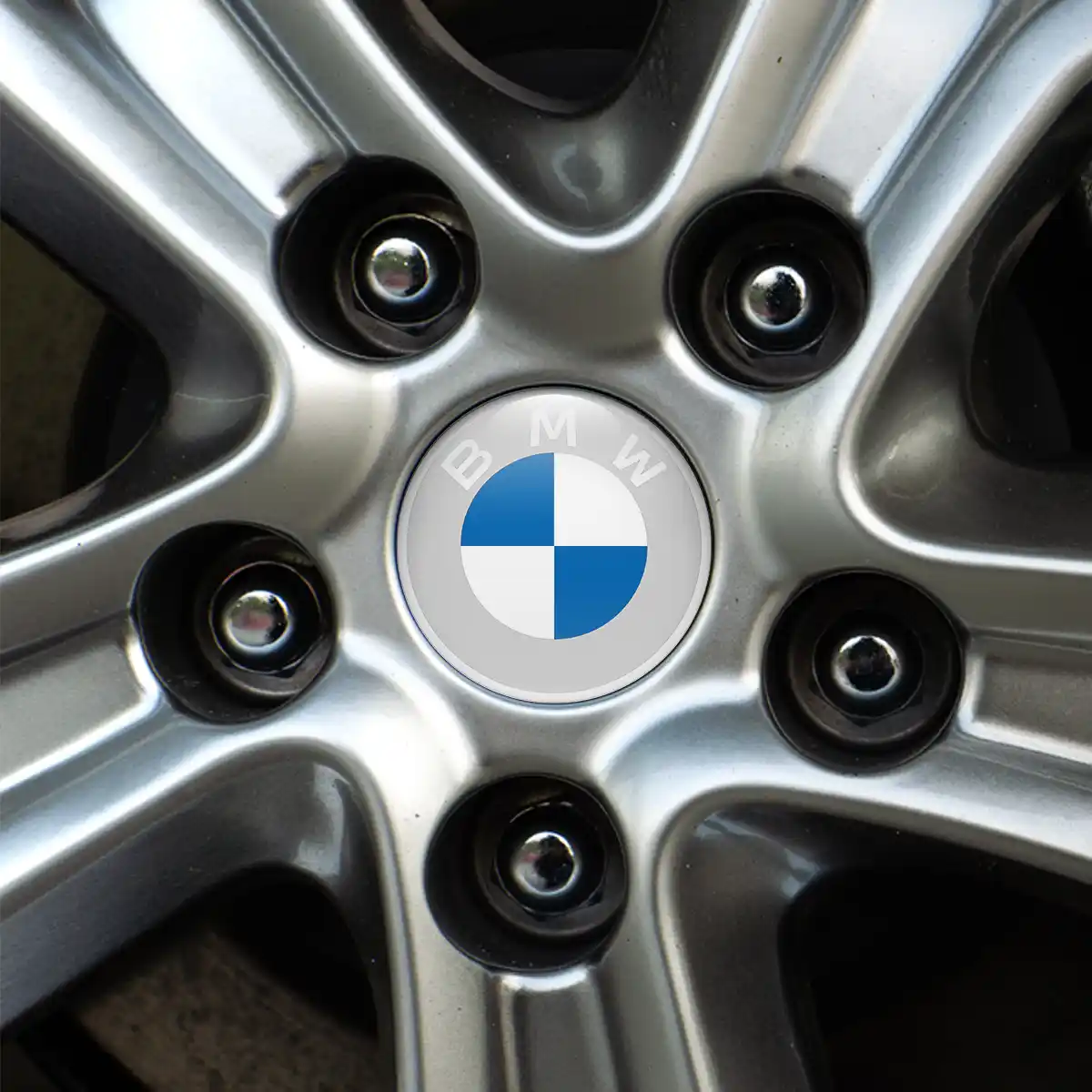 BMW Logo Silicone Emblem Premium Edition
