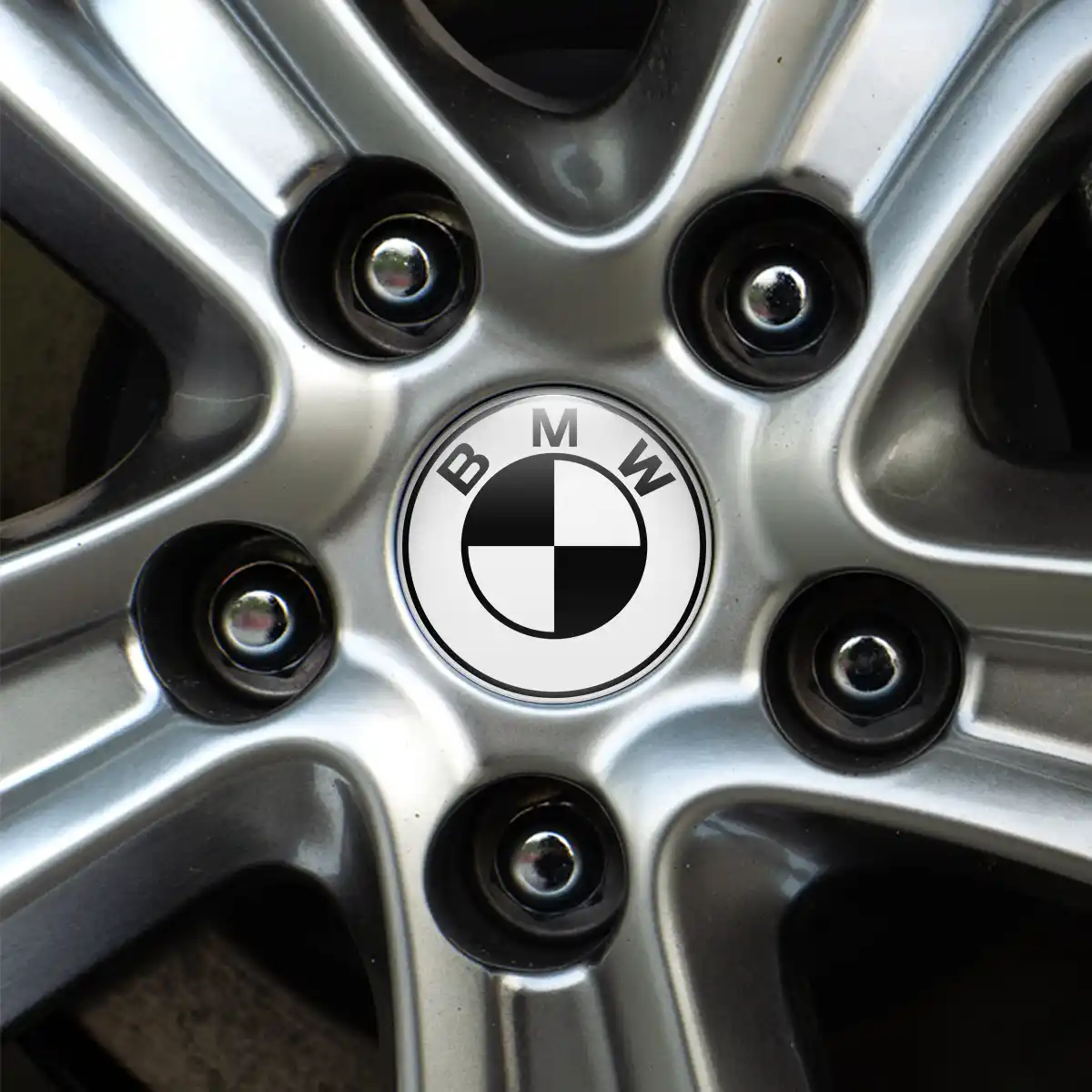 BMW Logo Silicone Emblem Self-Adhesive High Quality