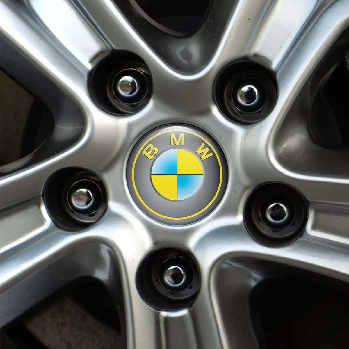BMW Logo Silicone Sticker Premium Edition