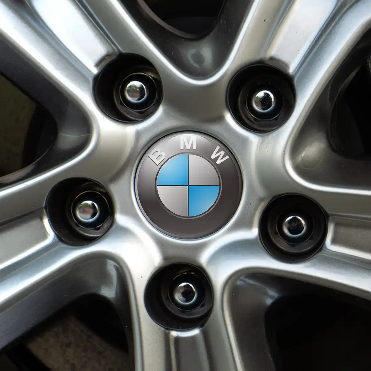 BMW Logo Sticker Premium Quality