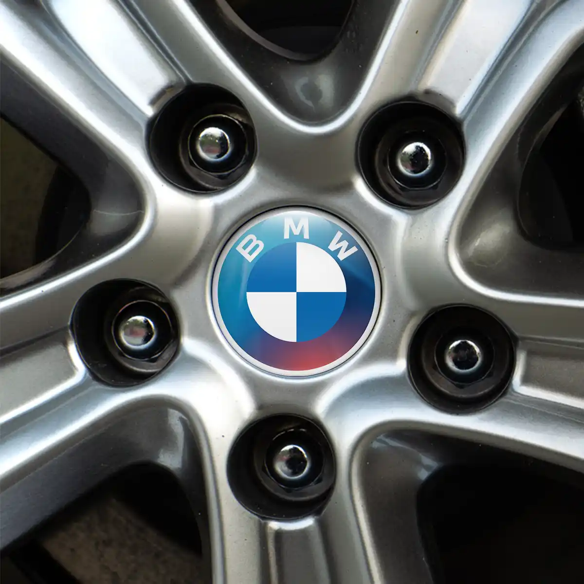 BMW Silicone Emblem High Quality
