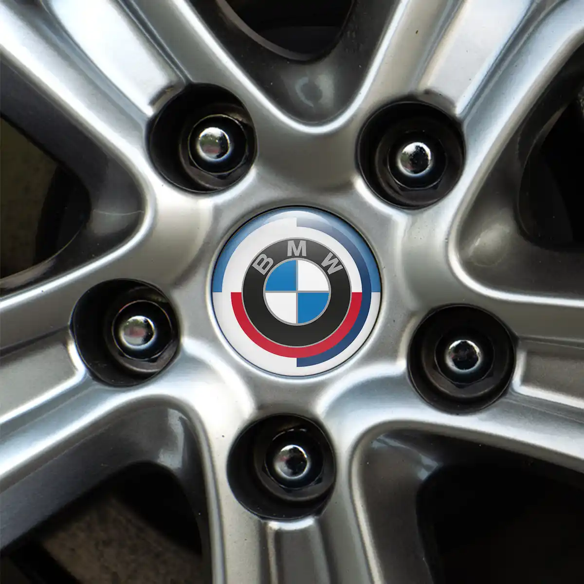 BMW Silicone Emblem Premium Edition