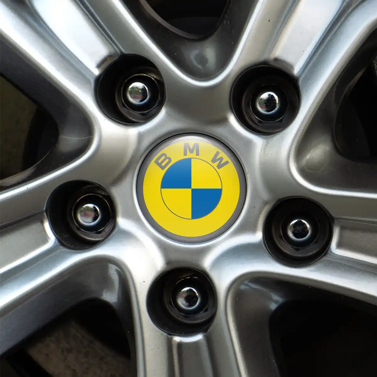 BMW Silicone Emblem Premium Quality